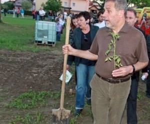 bandić