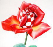 hrvatska-ruza