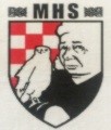 LOGO - MAJKE HRVATSKIH SOKOLOVA